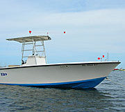 Standard Gullsweep® - GS-1 (6' diameter)